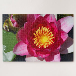 WaterLily CloseUp Legpuzzel