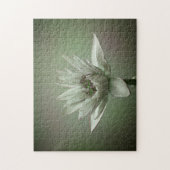 Waterlily green tone puzzle (Vertical)
