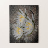 WaterLily Lotus-ventilator op steen Legpuzzel (Verticaal)