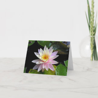 Waterlily Notecard Kaart