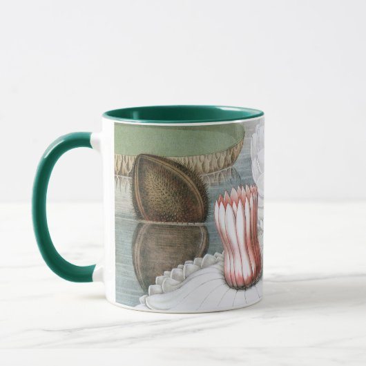 waterlioen bloemen in een Garden Pond Mok (Links)