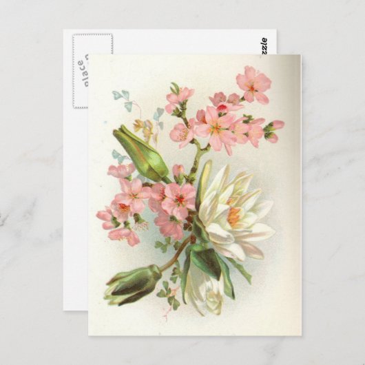 waterlustig briefkaart (Voorkant / Achterkant)