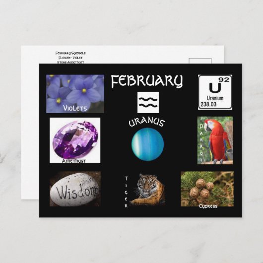 Waterman februari verjaardagsmaand ansichtkaart briefkaart (Voorkant / Achterkant)