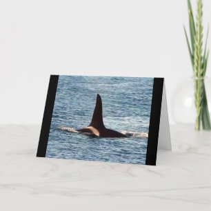 Waterman Orca Aanpasbare Westkust Orka Kaart