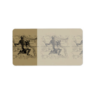 Waterman Sterrenbeeld Kaart Hevelius 1690 op Taupe Etiket