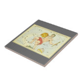 Waterman, sterrenbeeld, Urania's Mirror Tegeltje (Zijkant)