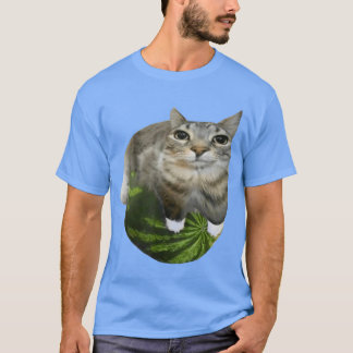 Watermeloen Cat Meme T-shirt