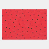 Watermeloen Inpakpapier Vel (Voorkant)