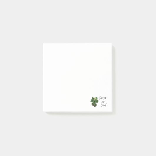 Watermeloen Pepperomia Bloem Post-It Notities Post-it® Notes (Voorkant)