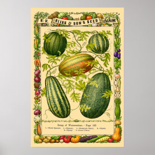 Watermeloen Retro Victoriaanse Tijdperk Botanische Poster
