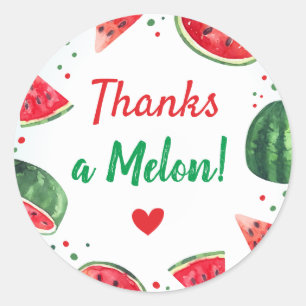 Watermeloen Zomer Verjaardagsfeest Bedankt een Mel Ronde Sticker