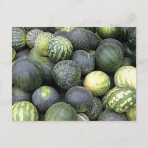 watermeloenen briefkaart