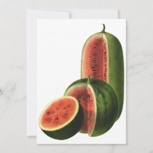  watermeloenen, ronde, organische voedselvruchten