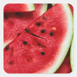 Watermelon Slices Vierkante Sticker