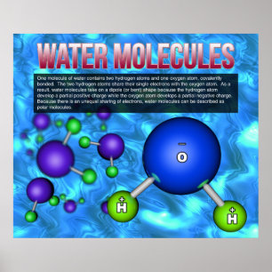 Watermoleculen Poster