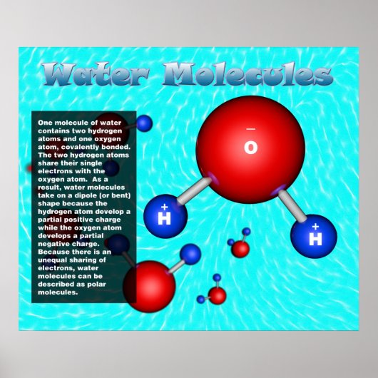 Watermoleculen Poster (Voorkant)