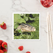 Watermonitor hagedis servet (Insitu)