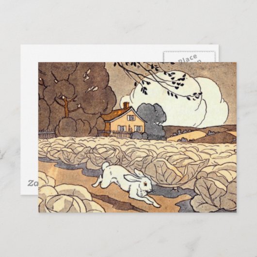 Waterondergang Briefkaart (Voorkant / Achterkant)