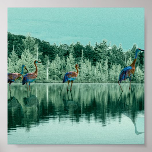 Waterong babybankkaarten poster (Voorkant)