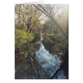 Waterreflecterende bomen