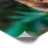 Waterreflectie op de luiersrol poster (Hoek)