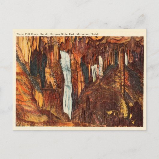  waterreservaat Florida Caverns State Park Briefkaart (Voorkant)