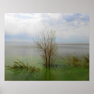 Waterschap Poster