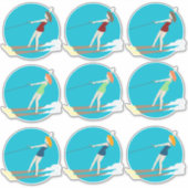 Waterski,  sticker (Voorkant)