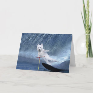 Waterskiënde Westie! Kaart