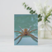 Waterspin Briefkaart (Staand voorkant)