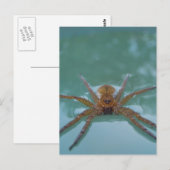 Waterspin Briefkaart (Voorkant / Achterkant)