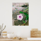 Waterspinazie in de damp poster (Keuken)