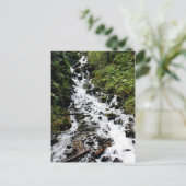 waterval2 briefkaart (Staand voorkant)