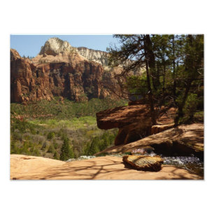 Waterval bij Emerald Pools in Zion National Park Foto Afdruk
