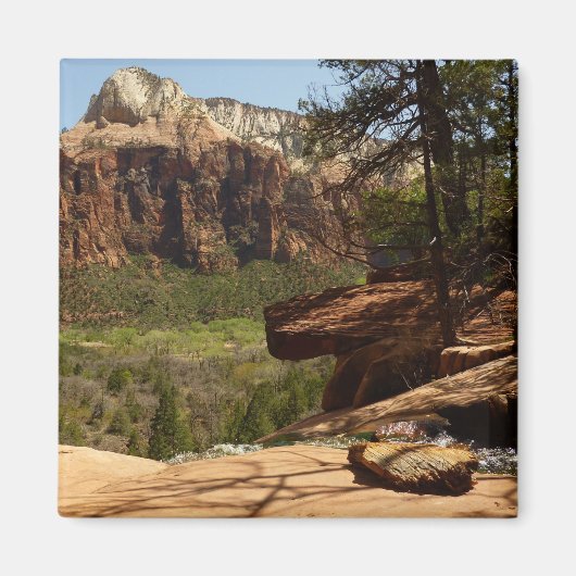 Waterval bij Emerald Pools in Zion National Park Magneet (Voorkant)