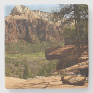 Waterval bij Emerald Pools in Zion National Park Stenen Onderzetter