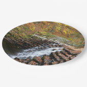 Waterval bij Laurel Hill State Park II Papieren Bordje (Gekanteld)