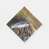 Waterval bij Laurel Hill State Park II Servetten (Hoek)