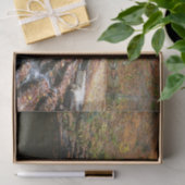 Waterval bij Laurel Hill State Park II Tissuepapier (Geschenk)