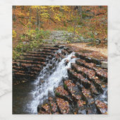 Waterval bij Laurel Hill State Park II Wijn Etiket (Enkel label)