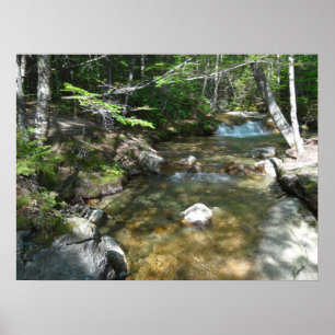 Waterval bij Pemigewasset River III Poster