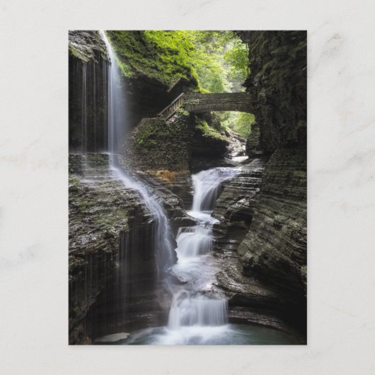 Waterval bij Watkins Glen, NY Briefkaart (Voorkant)