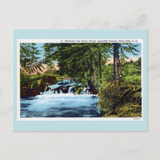 Waterval, bossen, Spearfish Canyon, Black Hills SD Briefkaart (Voorkant)