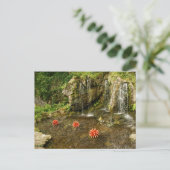 Waterval Briefkaart (Staand voorkant)