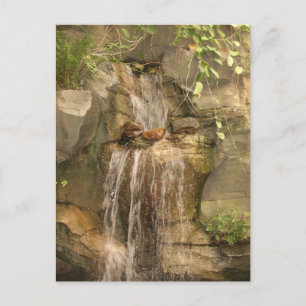 Waterval Briefkaart! Briefkaart