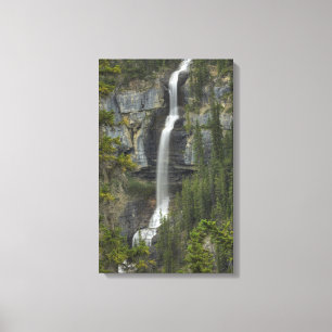 Waterval Canvas Afdruk