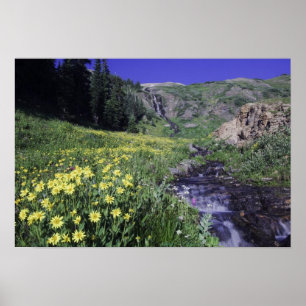 Waterval en wilde bloemen in de alpenweide poster