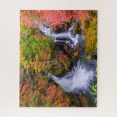 Waterval | Faucet Waterfall Nikko Japan Herfst Legpuzzel (Verticaal)