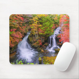 Waterval   Faucet Waterfall Nikko Japan Herfst Muismat