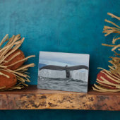 Waterval Fotoplaat (Zijkant)